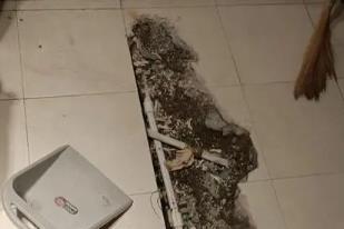 平乐卫生间漏水检测电话